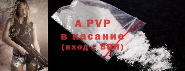 прущие грибы Горняк