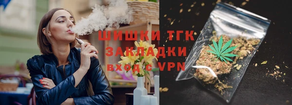 прущие грибы Горняк