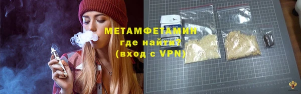 прущие грибы Горняк