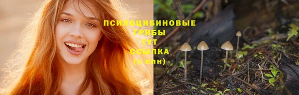 прущая мука Горнозаводск