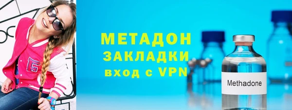 прущие грибы Горняк