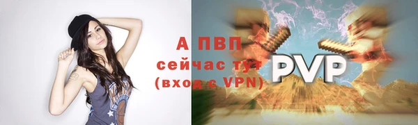 прущие грибы Горняк