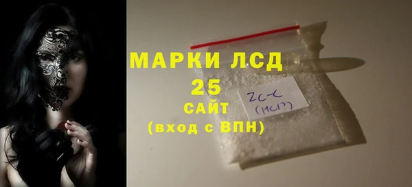 прущие грибы Горняк