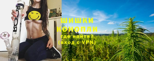 прущие грибы Горняк