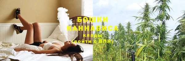 прущие грибы Горняк