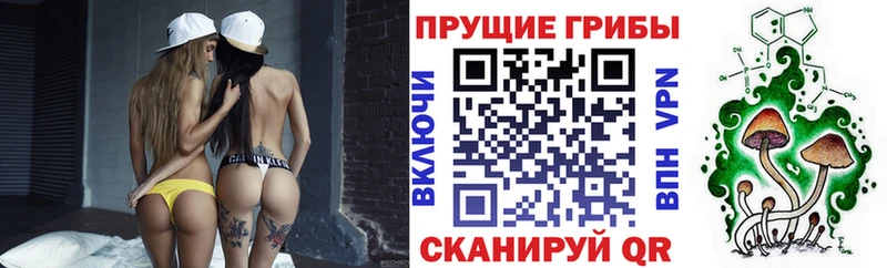 Галлюциногенные грибы Magic Shrooms  что такое   Игра 